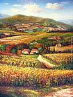 Tuscan Vineyards & Villas